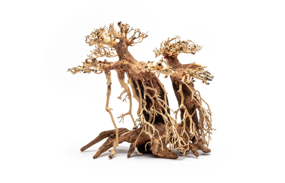 Bonsai Driftwood Double The Aquascaper Store