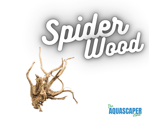 Spider Wood