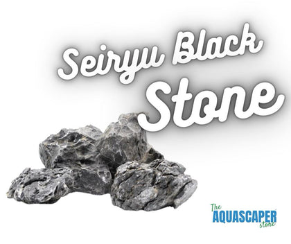 Seiryu Black Stone