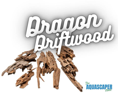 Dragon Driftwood
