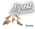 Forest Driftwood