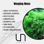Weping Moss