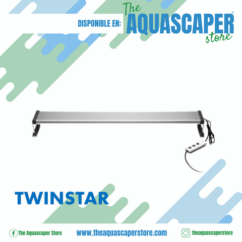 Twinstar Light IV Line E
